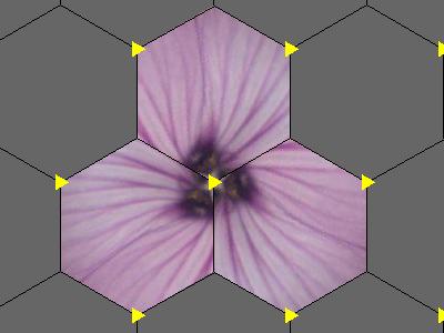 p1 fundamental domain